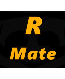 R Mate Steam Key GLOBAL